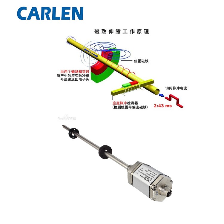 CARLEN傳感器 CARLEN傳感器